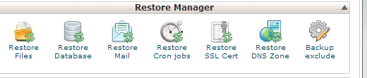 backup restores cpanel 1