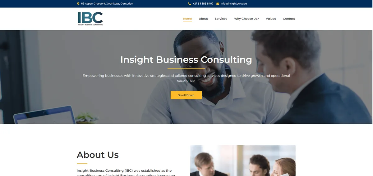 Insight Business website built free by Hostking