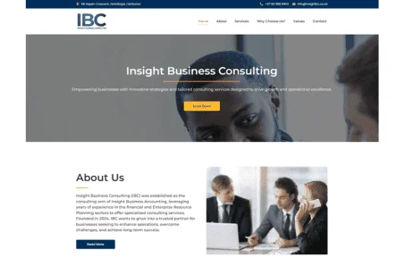 Insight Business website — built by Hostking