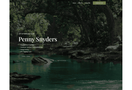 Penny Snyders website with Hostking web hosting